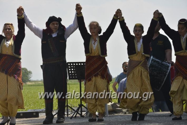 alexandriamou.gr_trikala28.5.2018029